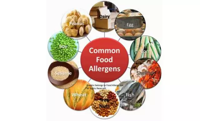 Epigastric Pain and Food Allergies: How to Identify and Manage Triggers